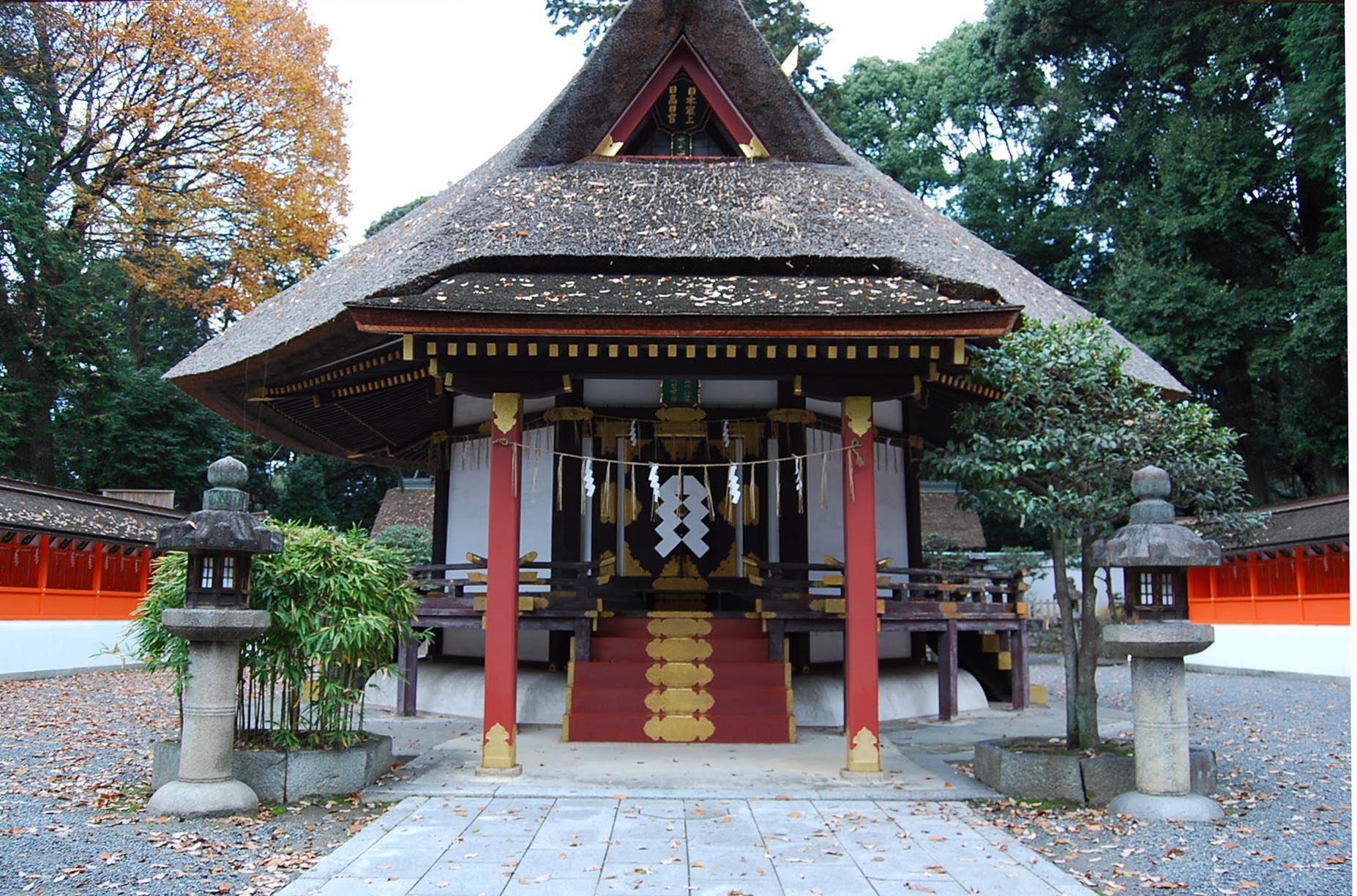 ���s�̏��w���� �g�c�_�Ѝ֏ꏊ�匳�{1